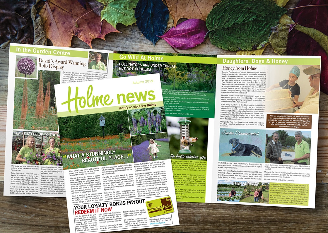 6pp a4 newsletter design and print 1120x796px