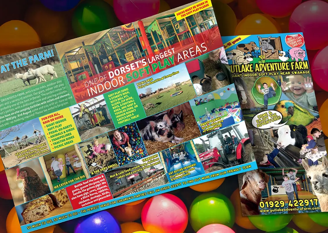 6pp dl roll fold leaflet design and print 1120x796px