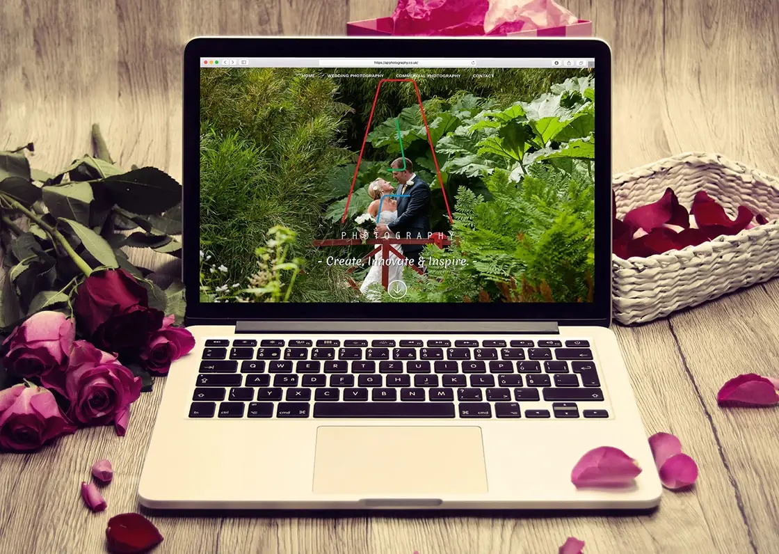 designosaur wordress website design banner ajr 2048x1456px 1120x796px